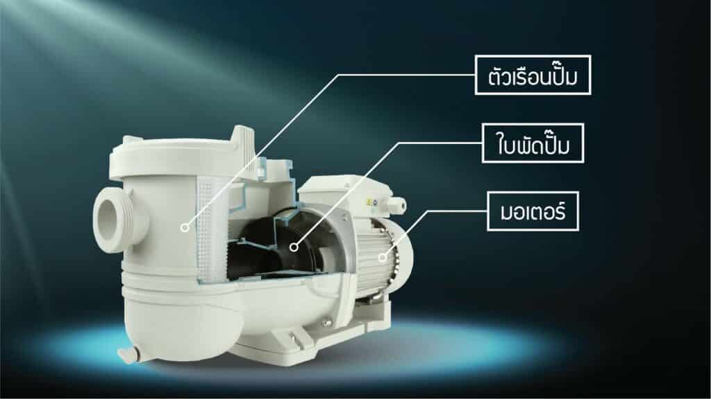 ปั๊มสระว่ายน้ำ